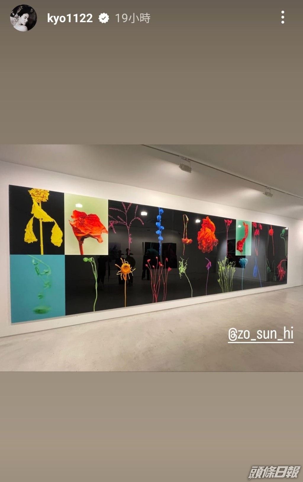 宋慧喬現身畫展。